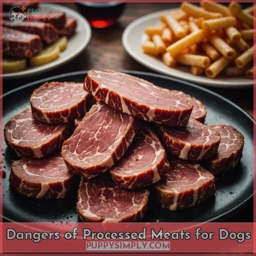 Dangers of Processed Meats for Dogs
