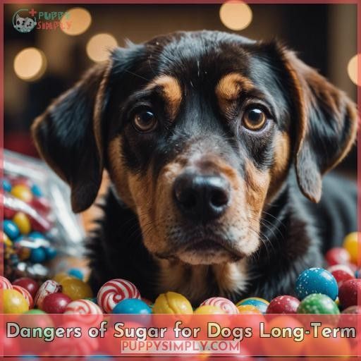 Dangers of Sugar for Dogs Long-Term