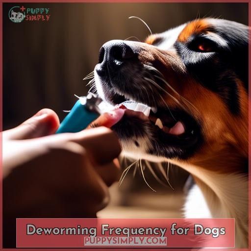 Deworming Frequency for Dogs