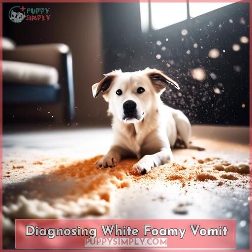 Diagnosing White Foamy Vomit