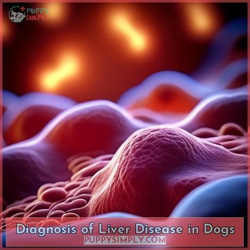 Diagnosis of Liver Disease in Dogs