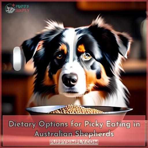 Dietary Options for Picky Eating in Australian Shepherds