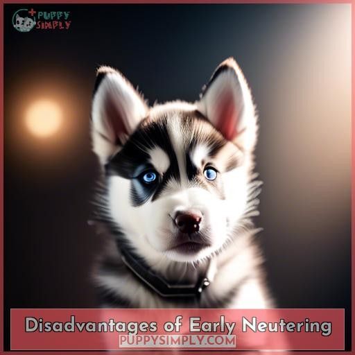 Disadvantages of Early Neutering