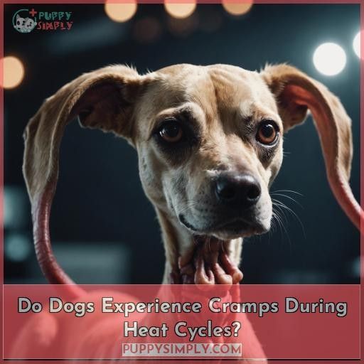 Do Dogs Experience Cramps During Heat Cycles