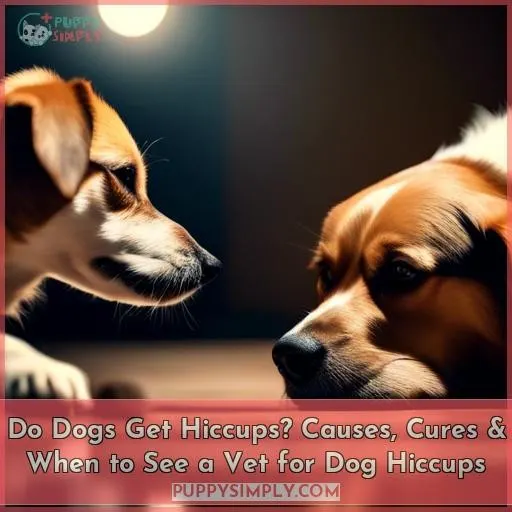 do dogs get hiccups