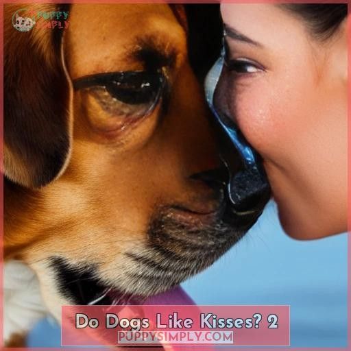 Do Dogs Like Kisses 2