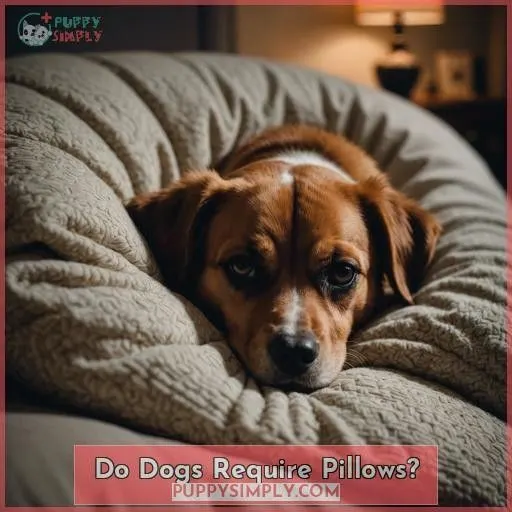 Do Dogs Require Pillows