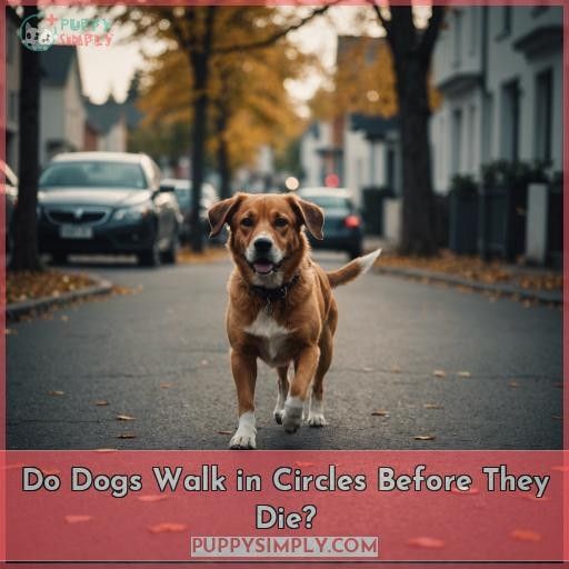 Do Dogs Walk in Circles Before They Die