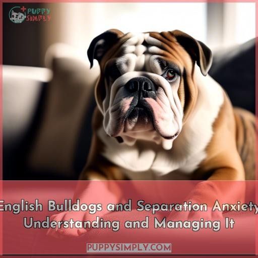 do english bulldogs have separation anxiety do english bulldogs have separation anxiety