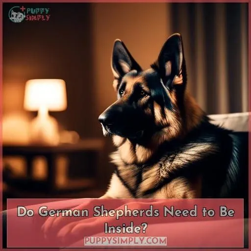 Do German Shepherds Need to Be Inside