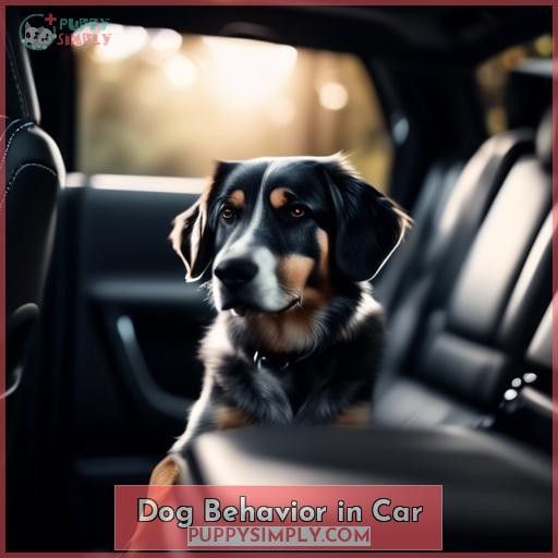 Dog Behavior in Car