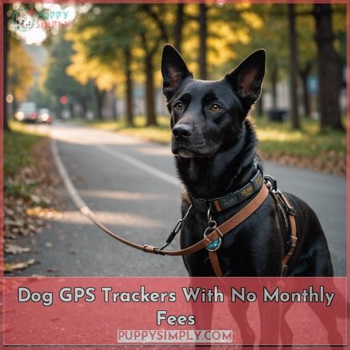 Dog GPS Trackers With No Monthly Fees