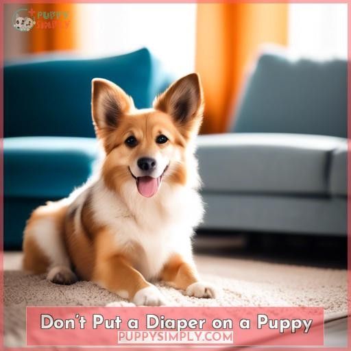 Don’t Put a Diaper on a Puppy
