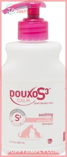 Douxo S3 CALM Soothing Itchy,