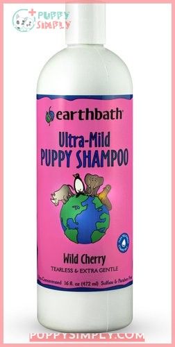 Earthbath Ultra-Mild Wild Cherry Puppy
