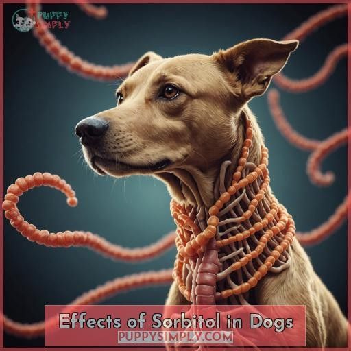 Effects of Sorbitol in Dogs