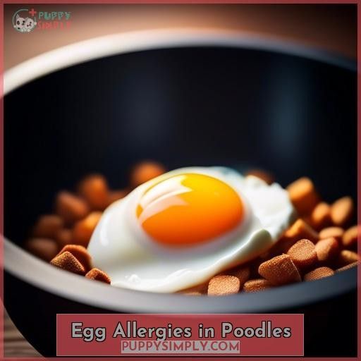 Egg Allergies in Poodles