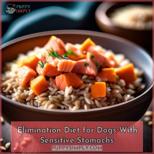 Elimination Diet for Dogs With Sensitive Stomachs