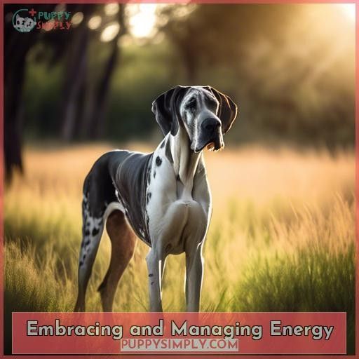 Embracing and Managing Energy
