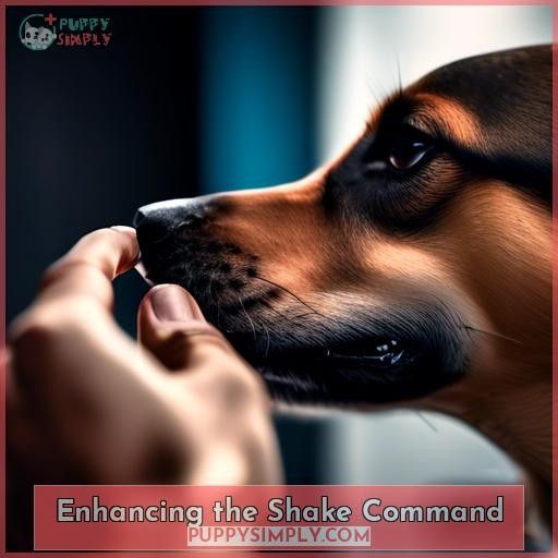 Enhancing the Shake Command