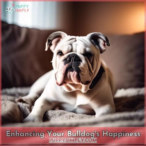 Enhancing Your Bulldog