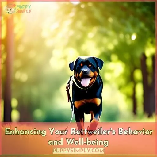 Enhancing Your Rottweiler