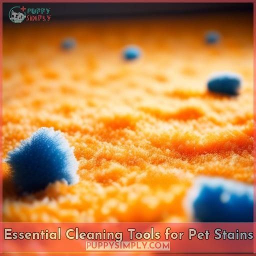 Essential Cleaning Tools for Pet Stains