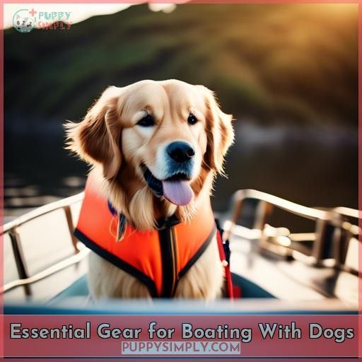 Essential Gear for Boating With Dogs