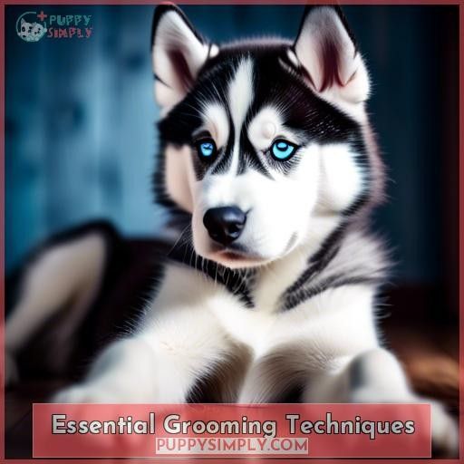 Essential Grooming Techniques
