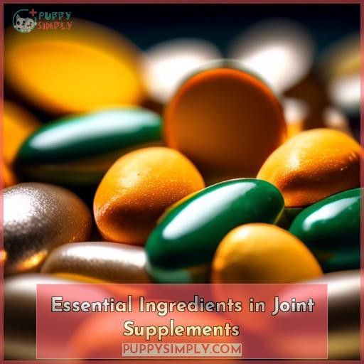 Essential Ingredients in Joint Supplements