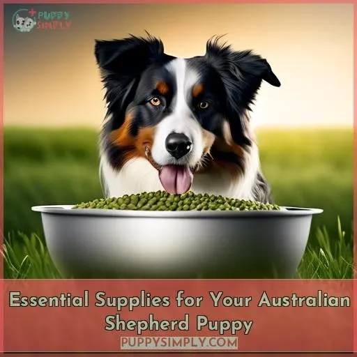 Essential Supplies for Your Australian Shepherd Puppy