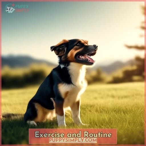 Exercise and Routine