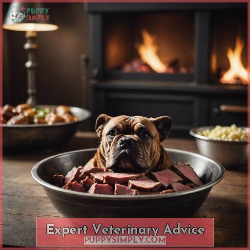 Expert Veterinary Advice