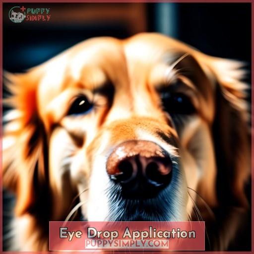 Eye Drop Application