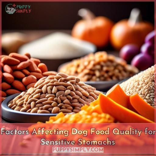 Factors Affecting Dog Food Quality for Sensitive Stomachs