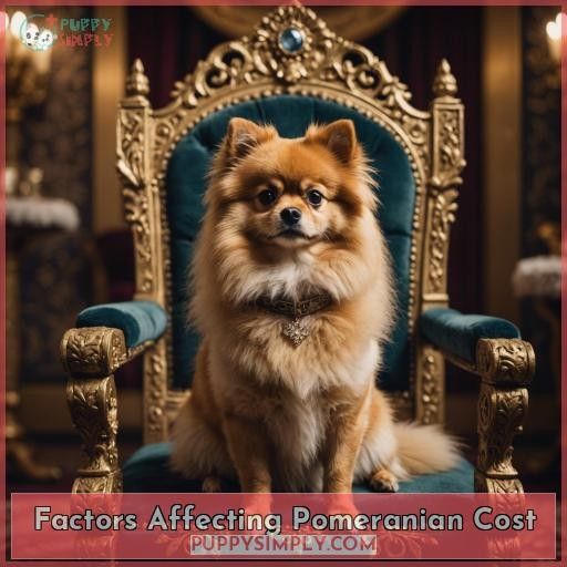 Factors Affecting Pomeranian Cost
