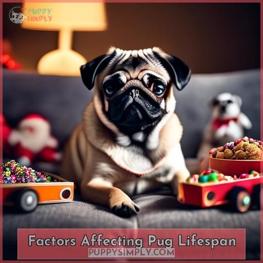 Factors Affecting Pug Lifespan