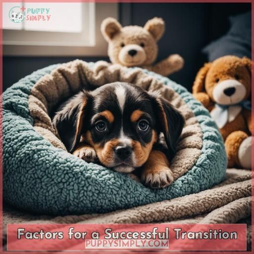 Factors for a Successful Transition