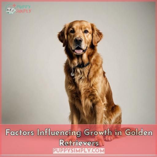 Factors Influencing Growth in Golden Retrievers