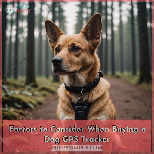 Factors to Consider When Buying a Dog GPS Tracker