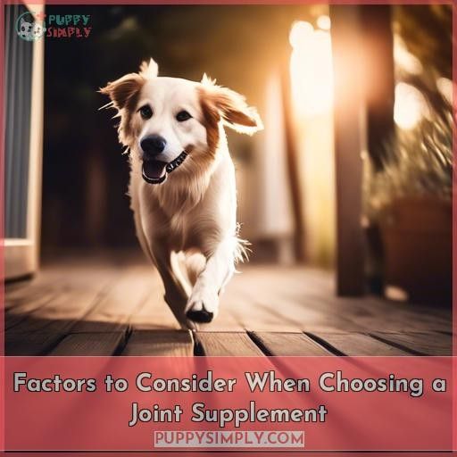 Factors to Consider When Choosing a Joint Supplement