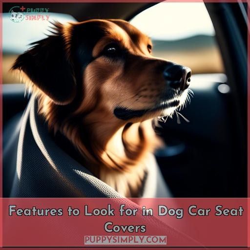 Features to Look for in Dog Car Seat Covers