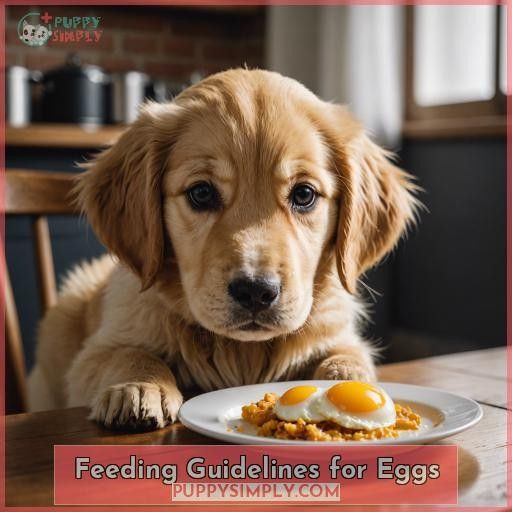 Feeding Guidelines for Eggs