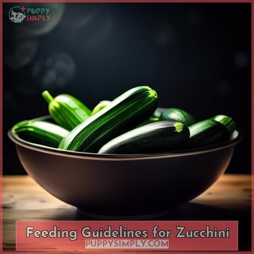 Feeding Guidelines for Zucchini