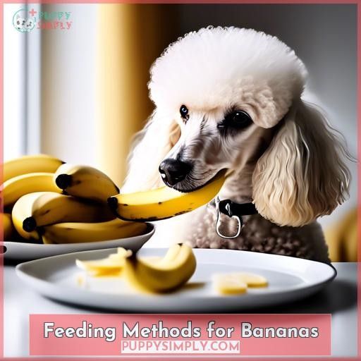 Feeding Methods for Bananas