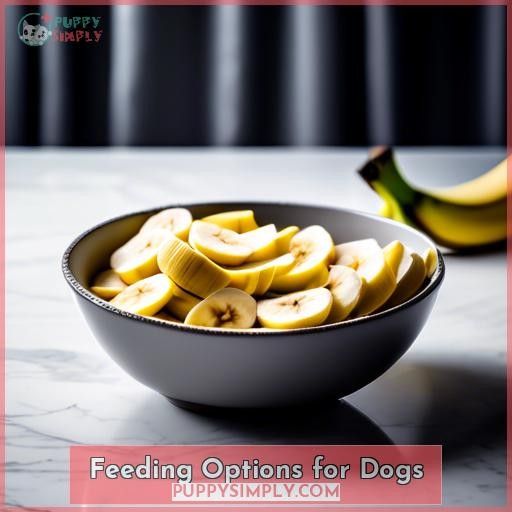 Feeding Options for Dogs