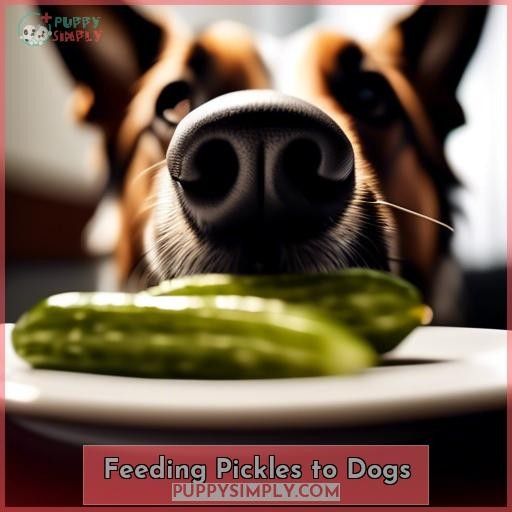 Feeding Pickles to Dogs