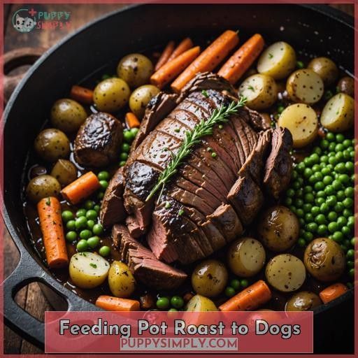 Feeding Pot Roast to Dogs
