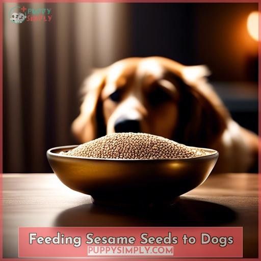 Feeding Sesame Seeds to Dogs