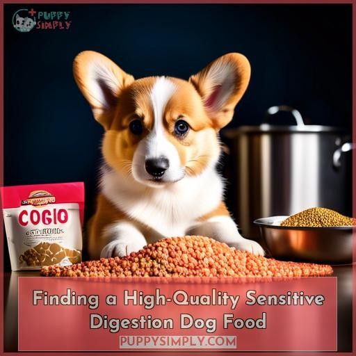 Finding a High-Quality Sensitive Digestion Dog Food